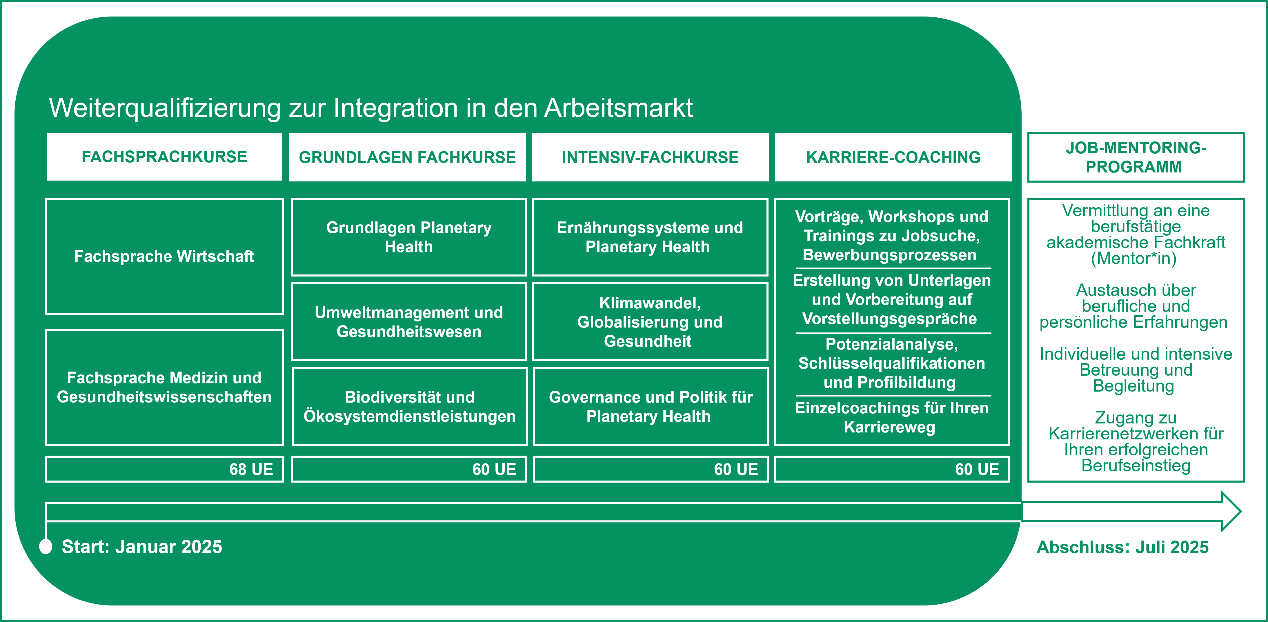 Grafik der Kursübersicht mit Zeitstrahl. Gerne erkläre ich mündlich die Inhalte.